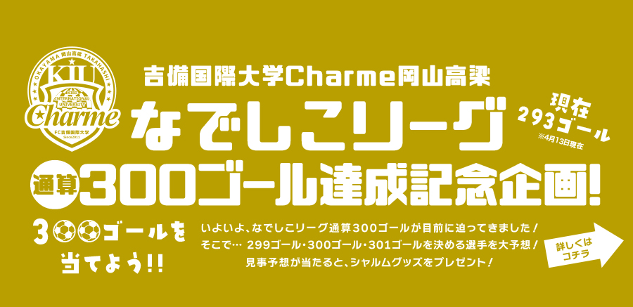 300ゴール達成記念